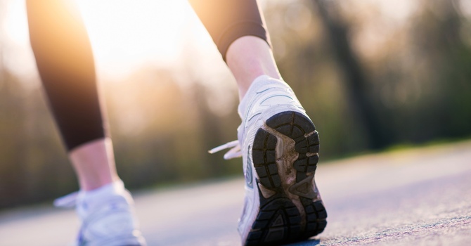 Chiropractic Functional Neurology